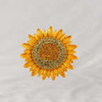 Spilla Sole